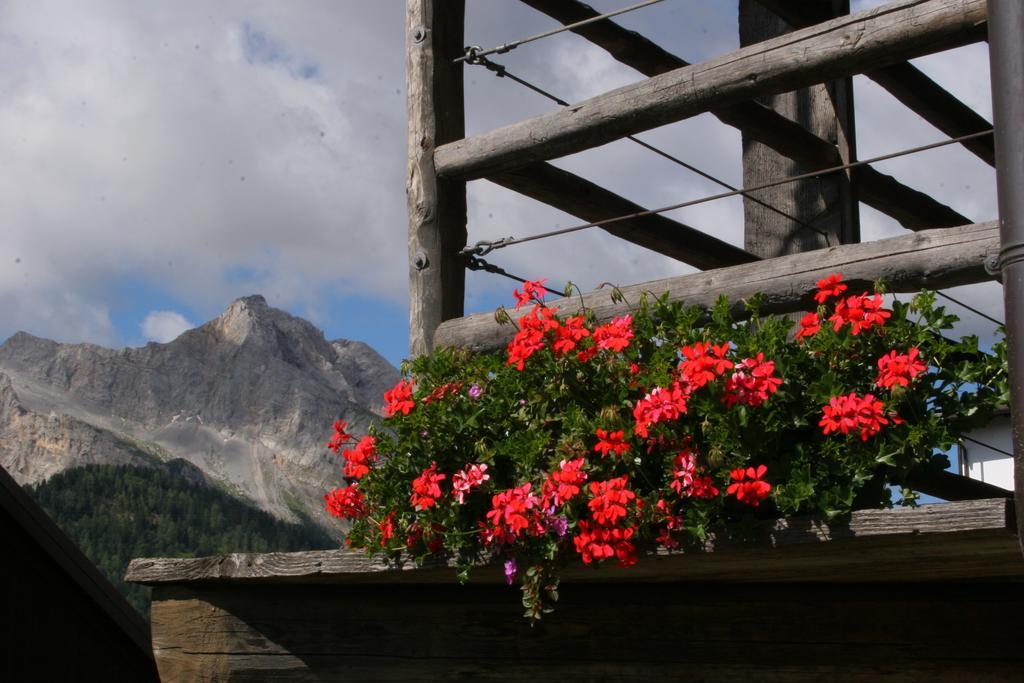 Albergo Diffuso Sauris In Sauris Di Sopra Екстериор снимка